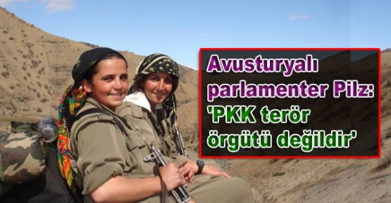Avusturyalı parlamenter Pilz: 'PKK terör örgütü değildir'