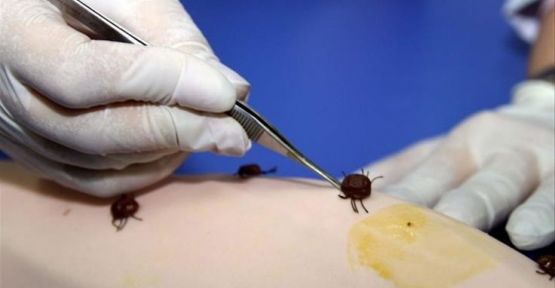 Bakanlıktan artan kene vakalarına karşı uyarı