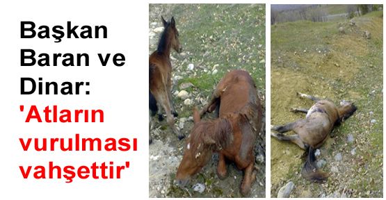 Başkan Baran ve Dinar: 'Atların vurulması vahşettir'