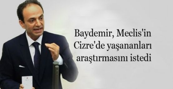 Baydemir, Meclis'in Cizre'de yaşananları araştırmasını istedi
