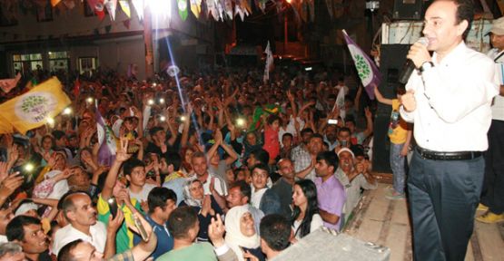 Baydemir'den müşahitlere: Kedilere karşı yanınıza fener alın