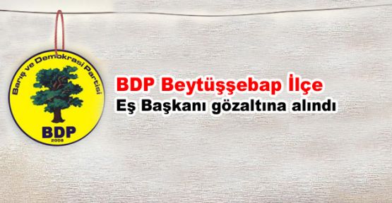 BDP Beytüşşebap İlçe Eşbaşkanı gözaltına alındı