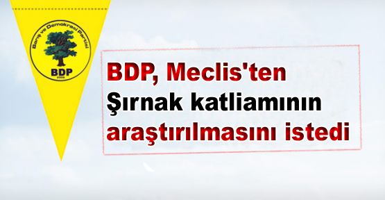 BDP, Meclis'ten Şırnak katliamının araştırılmasını istedi