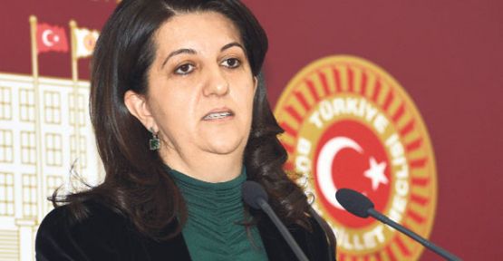BDP, TSK'nın Rojava'ya saldırısını Erdoğan'a sordu