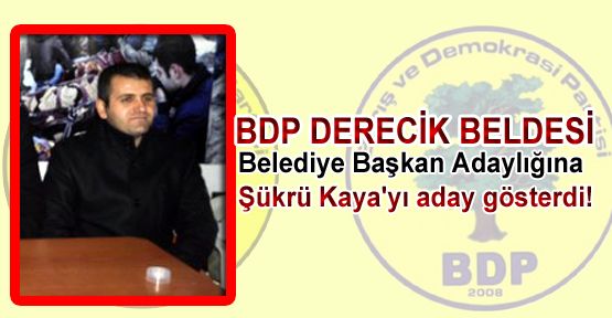 BDP'nin Derecik Beldesi Belediye Başkan Adayı Şükrü Kaya