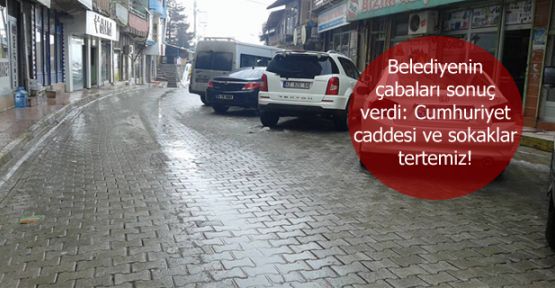Belediyenin çabaları sonuç verdi: Cumhuriyet caddesi ve sakoklar tertemiz