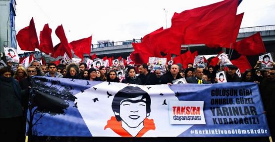 Berkin Elvan anıldı