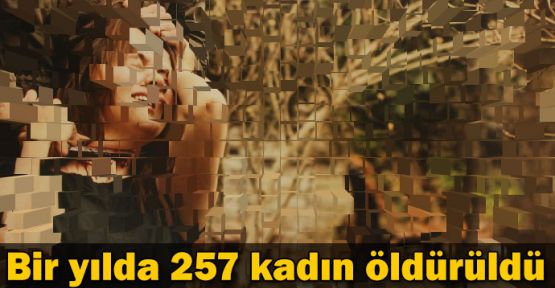 Bir yılda 257 kadın öldürüldü