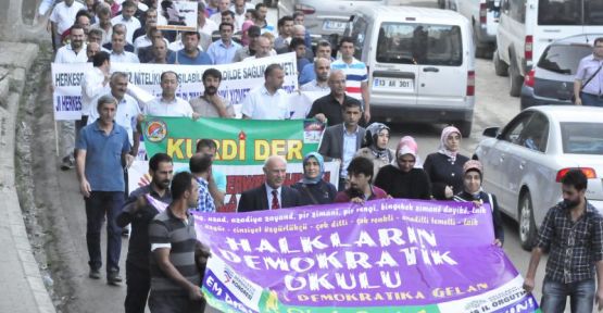 Bitlis'te anadil yürüyüşü