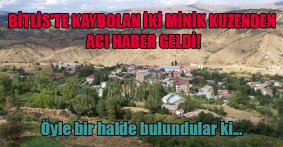 Bitlis'te kaybolan iki minik kuzen ölü halde bulundu!