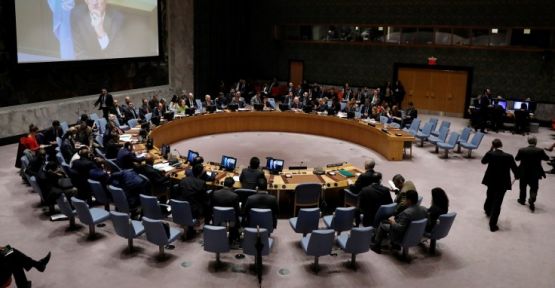 BM Güvenlik Konseyi, Suriye'de bir ay 'insani ateşkes' kararı aldı