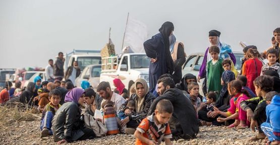 BM: IŞİD, Musul ve çevresinde on binlerce sivili canlı kalkan yaptı