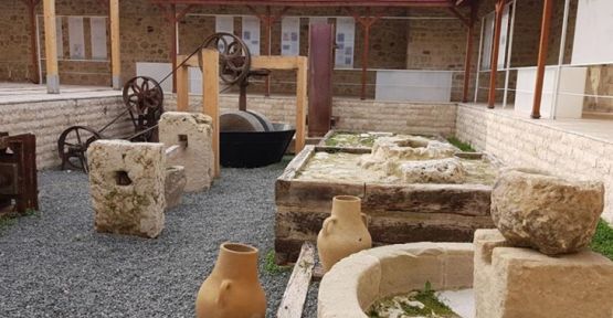Bölgenin ilk zeytin müzesi Hatay Altınözü'de açıldı
