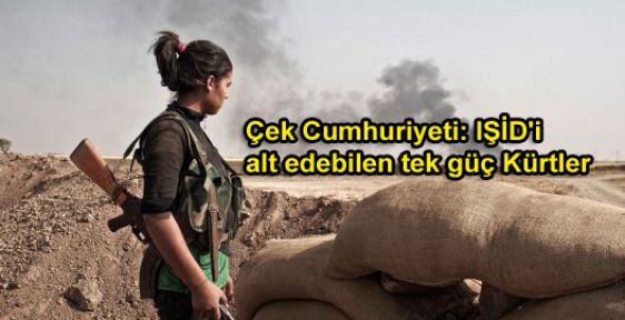 Çek Cumhuriyeti: IŞİD'i alt edebilen tek güç Kürtler