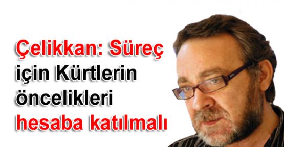 Çelikkan: Süreç için Kürtlerin öncelikleri hesaba katılmalı