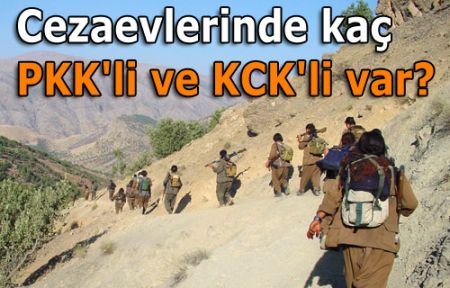 Cezaevlerinde kaç PKK'li ve KCK'li var?
