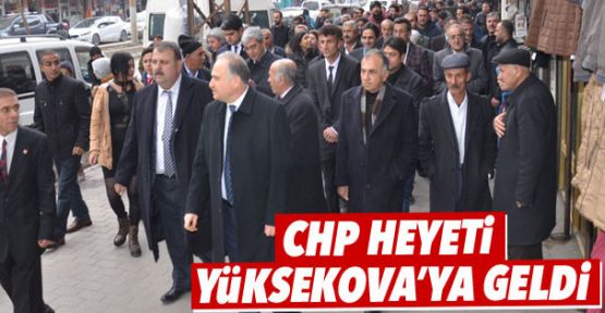 CHP heyeti Yüksekova'ya geldi