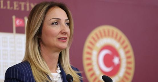 CHP'de Aylin Nazlıaka için ihraç istemi