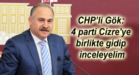 CHP’li Gök: 4 parti Cizre'ye birlikte gidip inceleyelim
