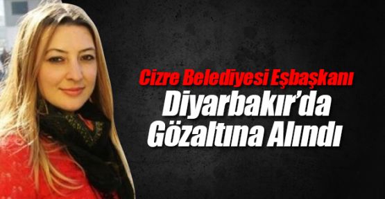 Cizre Belediyesi Eşbaşkanı Leyla İmret, gözaltına alındı