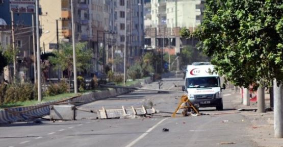 Cizre için uluslararası sağlık örgütlerine çağrı