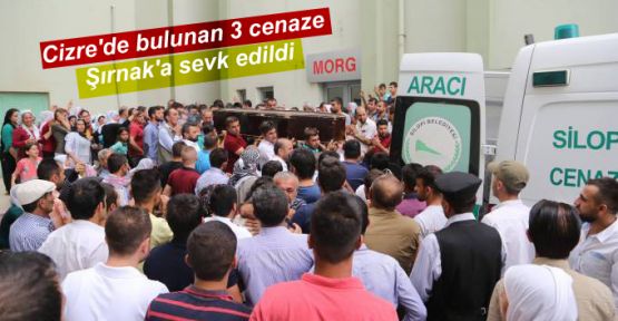 Cizre'de bulunan 3 cenaze Şırnak'a sevk edildi