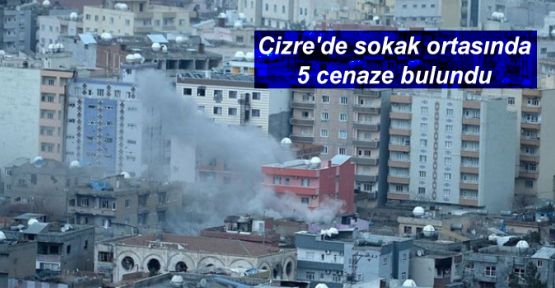 Cizre'de sokak ortasında 5 cenaze bulundu