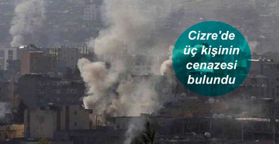 Cizre'de üç kişinin cenazesi bulundu