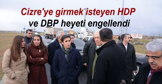 Cizre'ye girmek isteyen HDP ve DBP heyeti engellendi