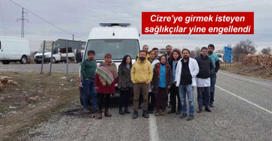 Cizre'ye girmek isteyen sağlıkçılar yine engellendi
