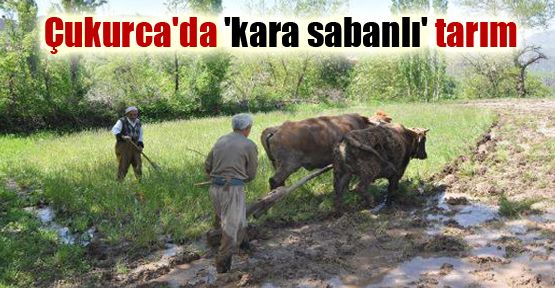 Çukurca'da 'kara sabanlı' tarım