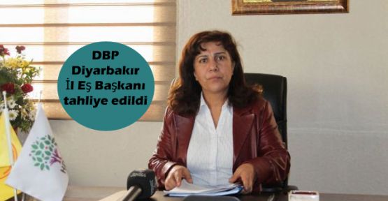 DBP Diyarbakır İl Eş Başkanı tahliye edildi