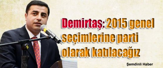 Demirtaş: 2015 genel seçimlerine parti olarak katılacağız
