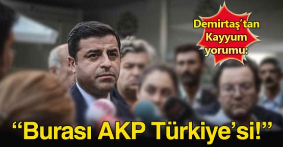 Demirtaş: Burası AKP Türkiye'si
