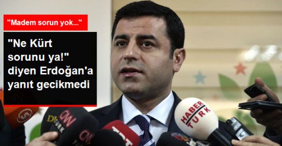 Demirtaş: Kürt Sorunu Yoksa Hükümet Bu Adımları Neden Atıyor