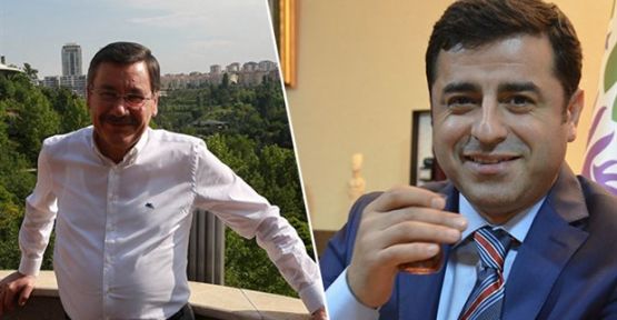 Demirtaş, Tanrıkulu'yla Gökçek'e mesaj gönderdi: Şapşik'e selam söyle