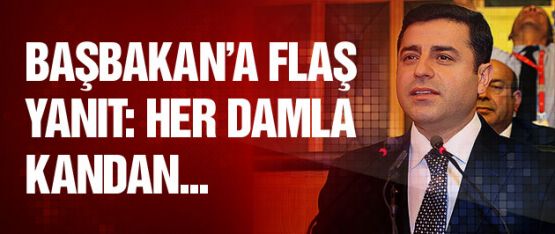 Demirtaş'tan Başbakan Davutoğlu’na yanıt