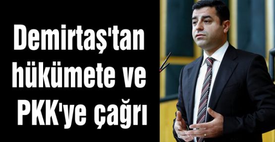 Demirtaş'tan hükümete ve PKK'ye çağrı