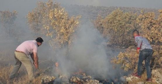 Dersim, Mardin ve Şırnak'taki orman yangınları sürüyor