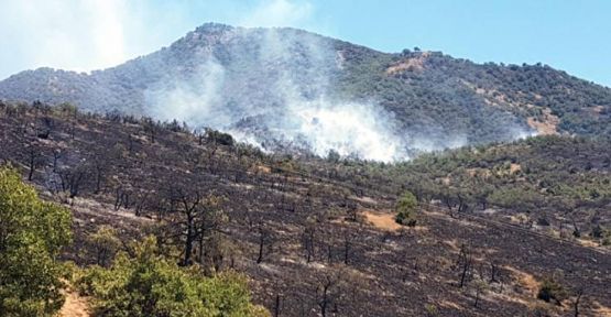 Dersim'deki orman yangını geniş bir alana yayıldı