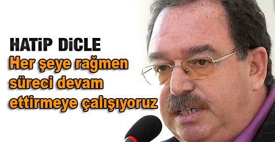 Dicle: Her şeye rağmen süreci devam ettirmeye çalışıyoruz