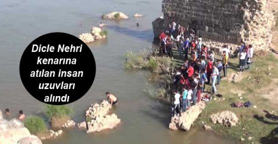 Dicle Nehri kenarına atılan insan uzuvları alındı