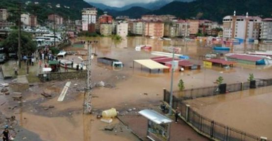 Diyarbakır Belediyesi Eş Başkanı Anlı: Hopa'ya yardıma hazırız