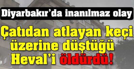 Diyarbakır'da çatıdan atlayan keçi Heval'i öldürdü