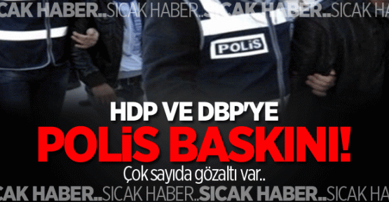 Diyarbakır'da HDP ve DBP'ye operasyon: Çok sayıda gözaltı
