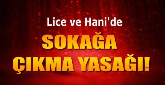 Diyarbakır'ın iki ilçesinde sokağa çıkma yasağı