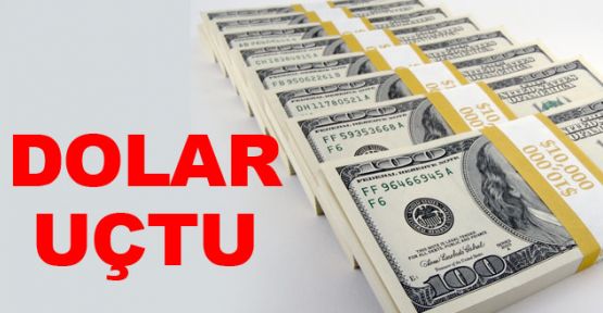 Dolar 3 TL'ye dayandı
