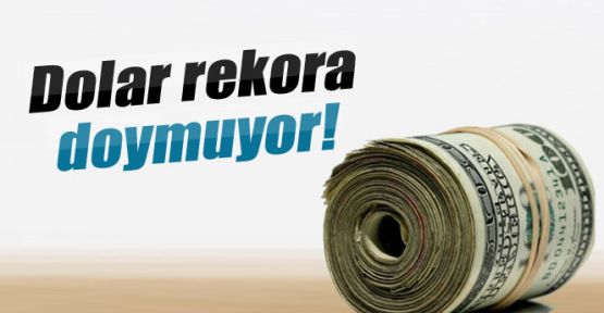 Dolar rekora doymuyor, euro 4'ü geçti