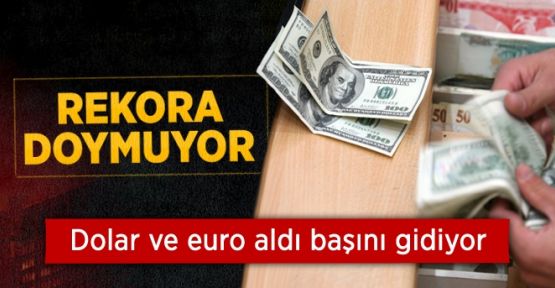 Dolar ve Euro Güne Rekorla Başladı