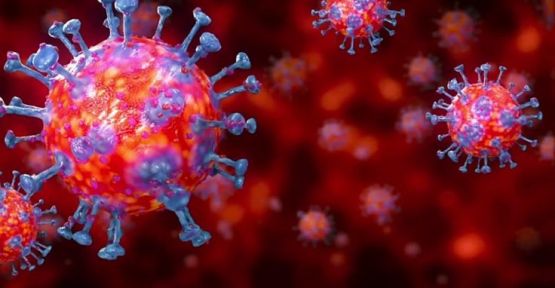 DSÖ'den laboratuvar iddiasına yalanlama